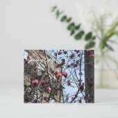 Jersey City Blume Postkarte (Stehend Vorderseite)