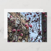 Jersey City Blume Postkarte (Vorne/Hinten)
