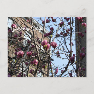 Jersey City Blume Postkarte