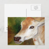 Jersey Cow aceo Postcard Postkarte (Vorne/Hinten)