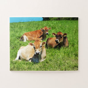 Jersey cows farm animal puzzle