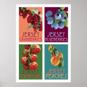 Jersey Fruits Poster (Vorne)