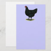 Jersey Giant: Black Hen Briefpapier (Vorne/Hinten)