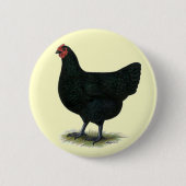 Jersey Giant: Black Hen Button (Vorderseite)