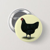 Jersey Giant: Black Hen Button (Vorne & Hinten)