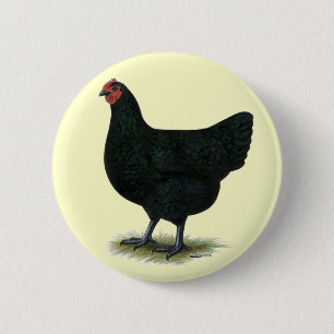 Jersey Giant: Black Hen Button