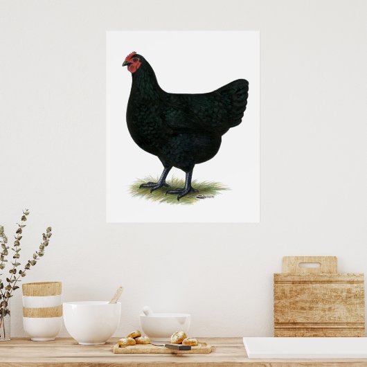 Jersey Giant: Black Hen Poster (Küche)