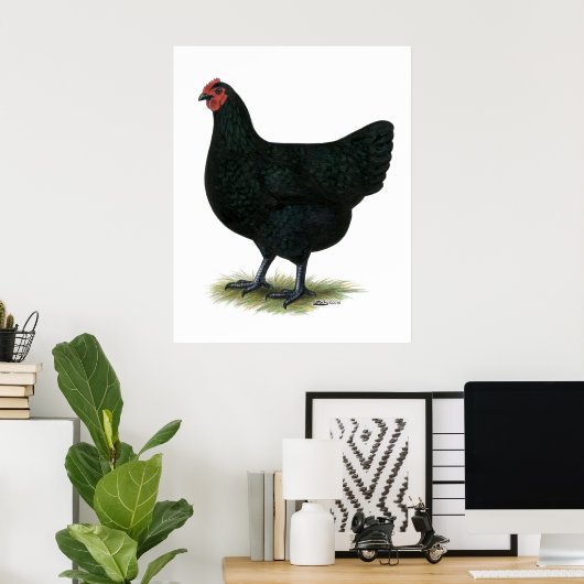 Jersey Giant: Black Hen Poster (Heimbüro)
