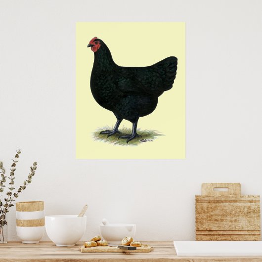 Jersey Giant: Black Hen Poster (Küche)