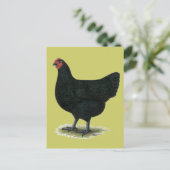 Jersey Giant: Black Hen Postkarte (Stehend Vorderseite)
