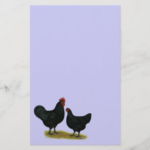 Jersey Giant Chickens Briefpapier