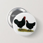Jersey Giant Chickens Button (Vorne & Hinten)