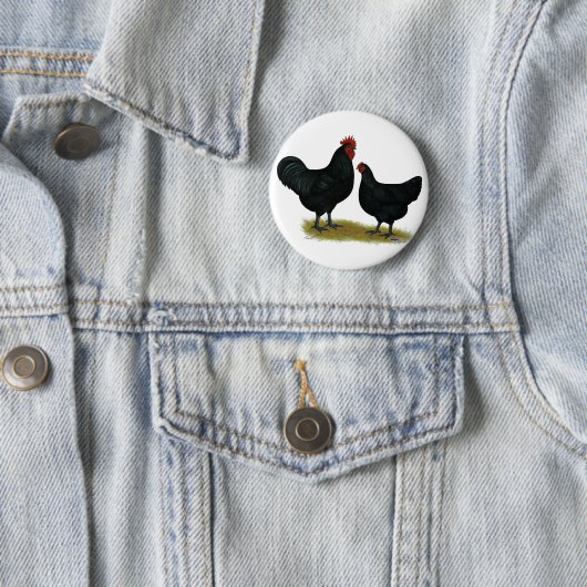 Jersey Giant Chickens Button (Beispiel)