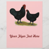 Jersey Giant Chickens Flyer (Vorne)