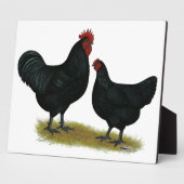 Jersey Giant Chickens Fotoplatte (Seite)