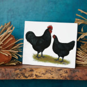 Jersey Giant Chickens Fotoplatte (Seite)