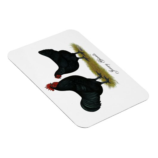 Jersey Giant Chickens Magnet (Rechte Seite)