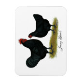 Jersey Giant Chickens Magnet (Vertikal)