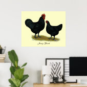Jersey Giant Chickens Poster (Heimbüro)