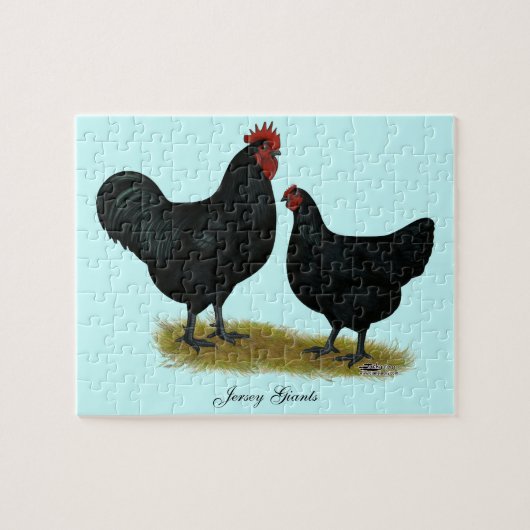 Jersey Giant Chickens Puzzle (Horizontal)