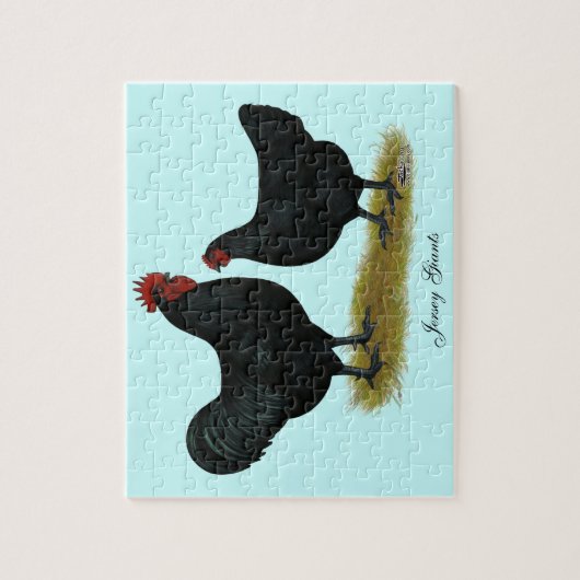 Jersey Giant Chickens Puzzle (Vertikal)