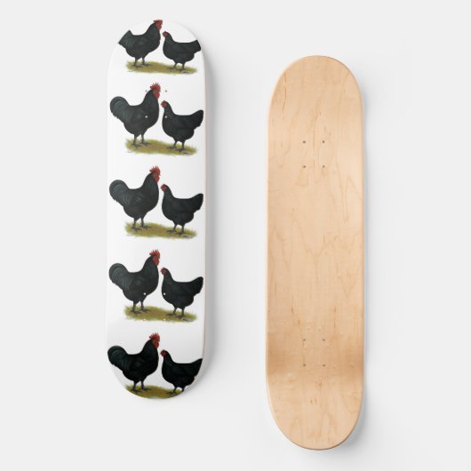 Jersey Giant Chickens Skateboard (Vorderseite)