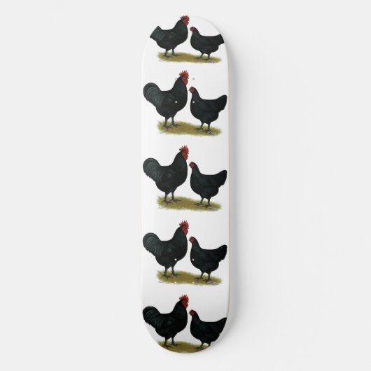 Jersey Giant Chickens Skateboard (Vorderseite)