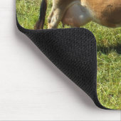 Jersey-Kuh auf den Kanalinseln Mousepad (Ecke)