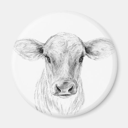 Jersey-Kuh Bleistiftzeichnung Kunst Magnet (Vorne)