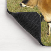 Jersey Kuh in St. John Mousepad (Ecke)