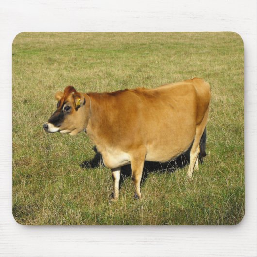 Jersey Kuh in St. John Mousepad (Vorne)