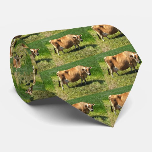 Jersey-Kühe Krawatte (Gerollt)