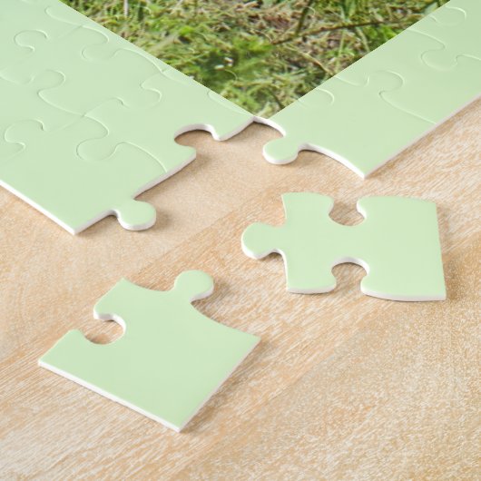 Jersey-Kühe Puzzle (Seite)