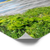 Jersey-Landschaft im Frühjahr Poster (Ecke)
