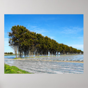 Jersey-Landschaft im Frühjahr Poster