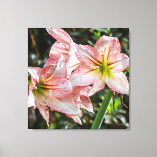 Jersey-Lilien im Regenwald Leinwanddruck