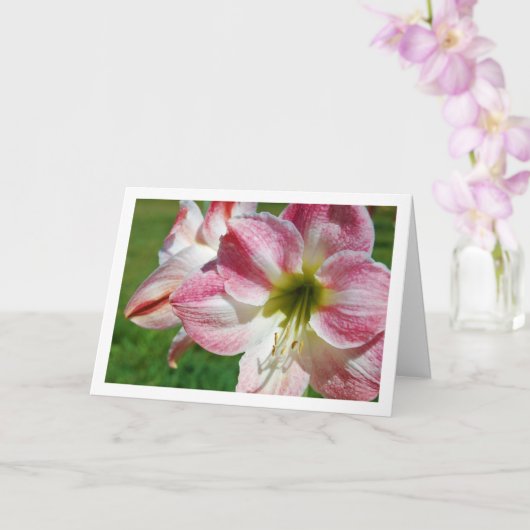 Jersey lily Portrait Karte (Orchidee)