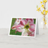 Jersey lily Portrait Karte (Gelbe Blume)