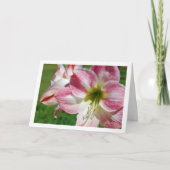 Jersey lily Portrait Karte (Vorderseite)