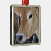 Jersey-Milchkuh mit Kopf im Hauptverschluß Silbernes Ornament (Rechts)