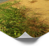 Jersey Shore 2 Poster (Ecke)