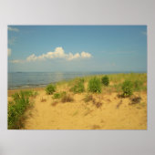 Jersey Shore 2 Poster (Vorne)