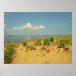 Jersey Shore 2 Poster