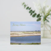 Jersey Shore Point Postcard Postkarte (Stehend Vorderseite)