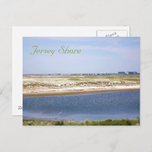 Jersey Shore Point Postcard Postkarte (Vorne/Hinten)