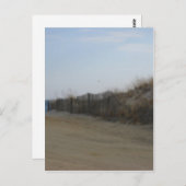 Jersey Shore * Weicher Strand Postkarte (Vorne/Hinten)