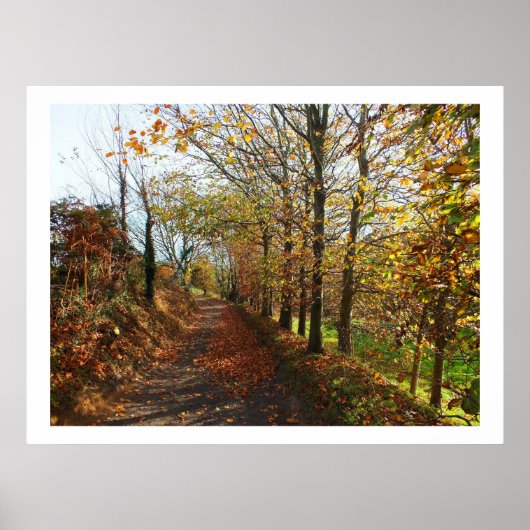 Jersey Spur im Herbst Poster (Vorne)