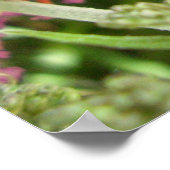 Jersey Tiger Butterfly Poster (Ecke)