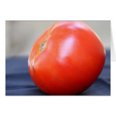 Jersey Tomato 1 (Vorderseite (Horizontal))