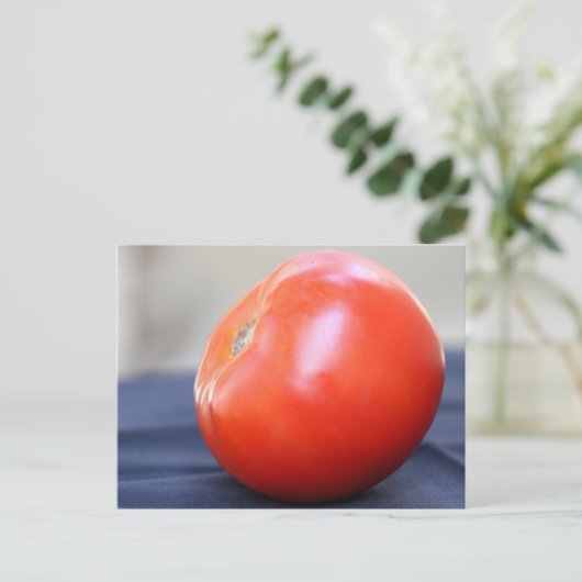 Jersey Tomato 1 Postkarte (Stehend Vorderseite)